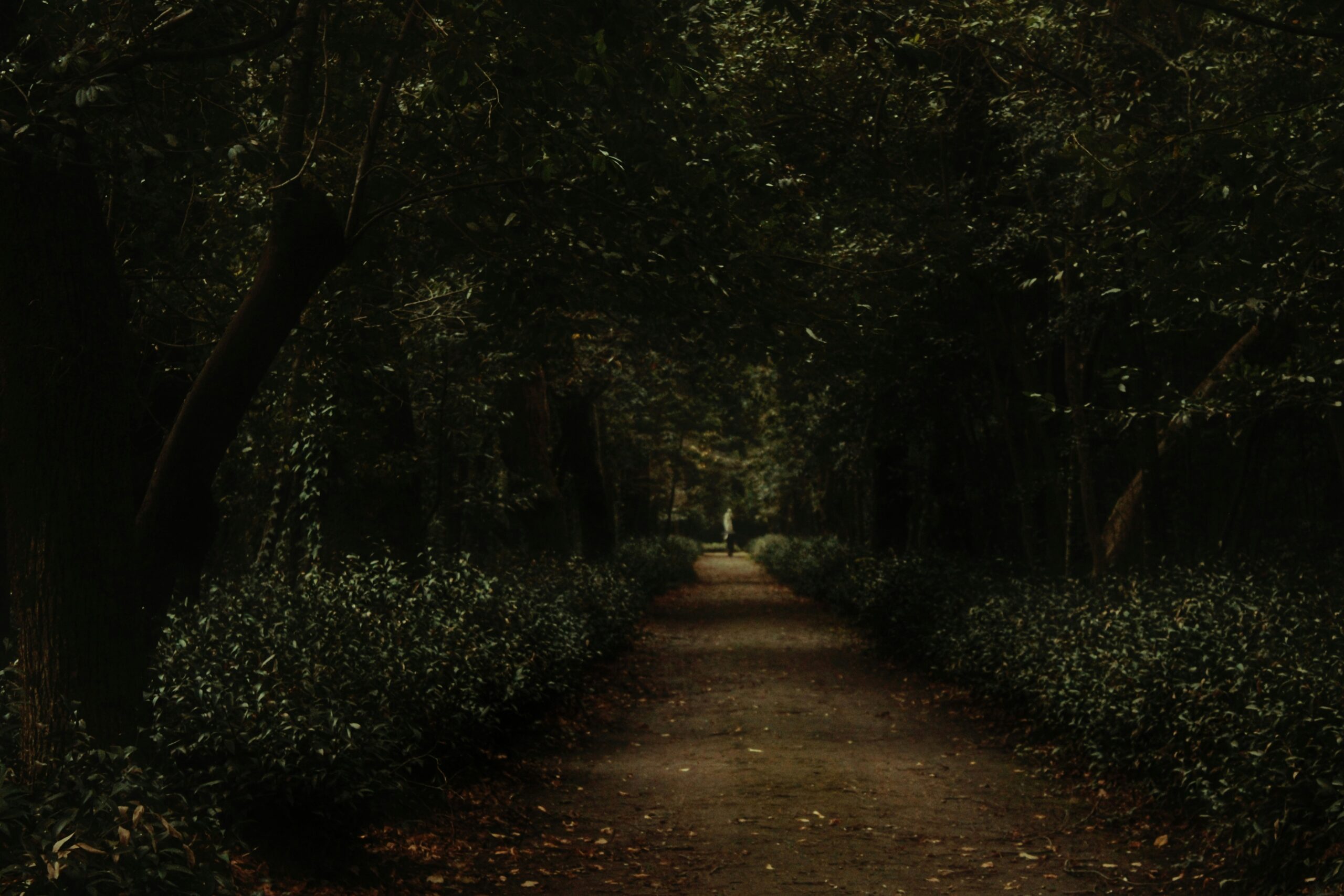 Hello World Featured Image